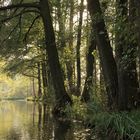 Spreewald - Natur pur!!