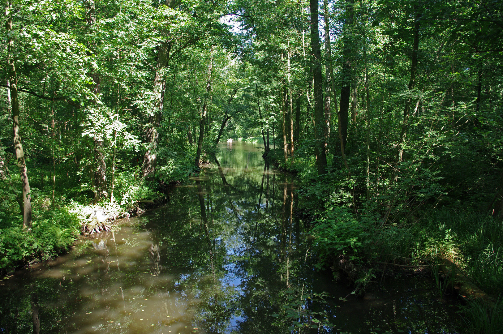 Spreewald oder Urwald