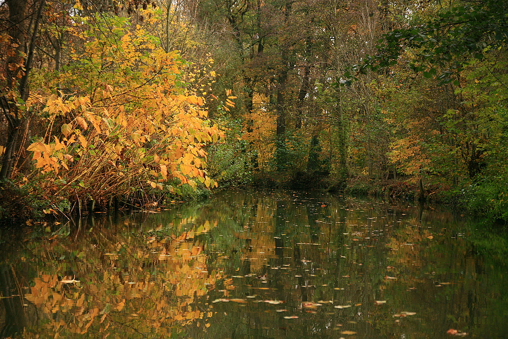 Spreewald Romantik....