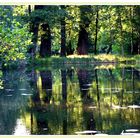 Spreewald - Schlossteich Lübbenau 1