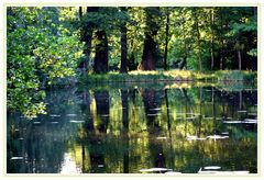 Spreewald - Schlossteich Lübbenau 1