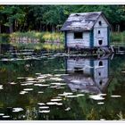 Spreewald - Schlossteich Lübbenau 3