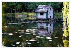 Spreewald - Schlossteich Lübbenau 3