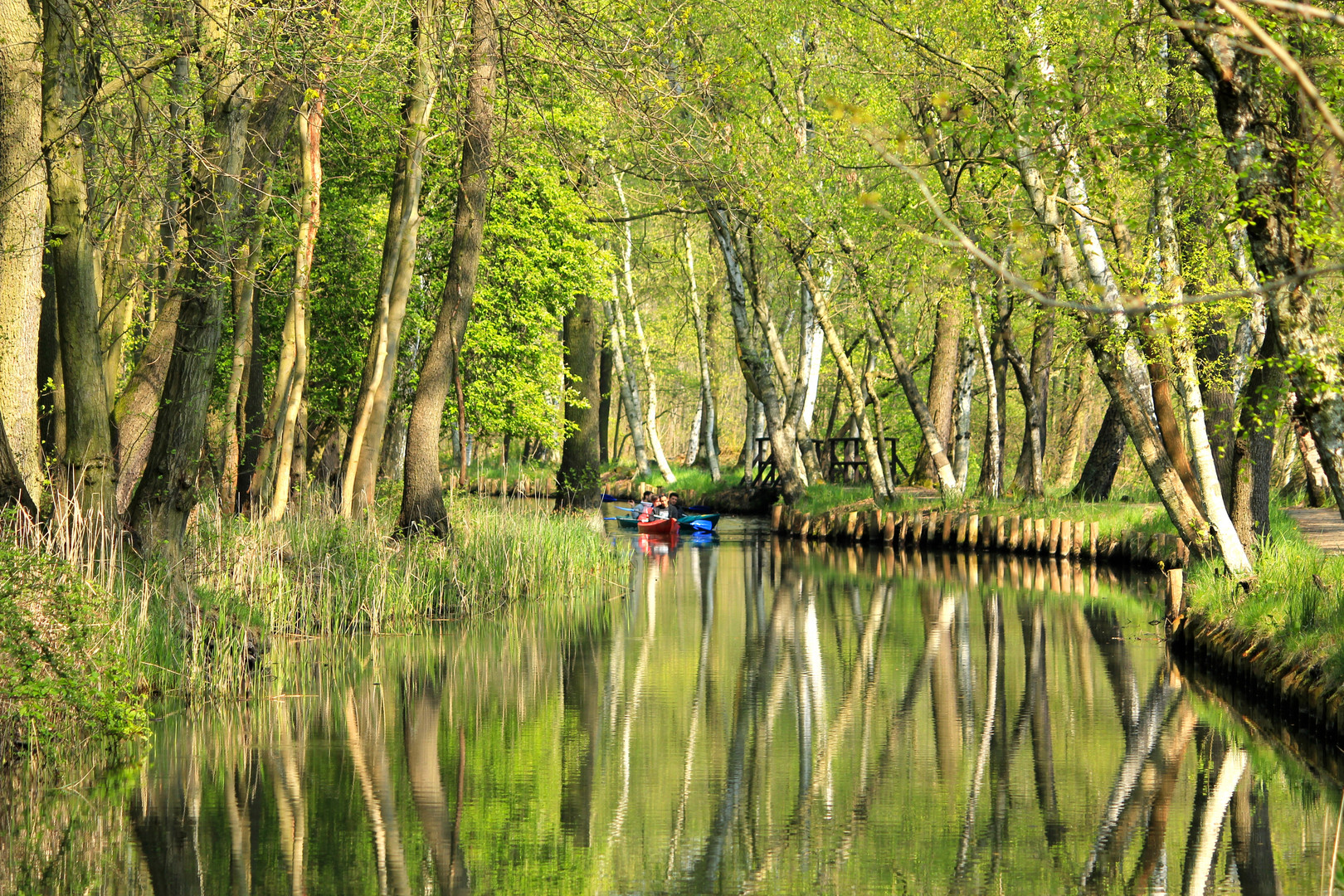 Spreewald - Seele baumeln lassen