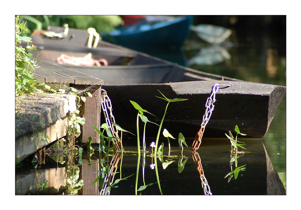 Spreewald Stille