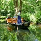 "Spreewald-Taxi?"