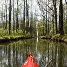 Spreewald - Unendlichkeit