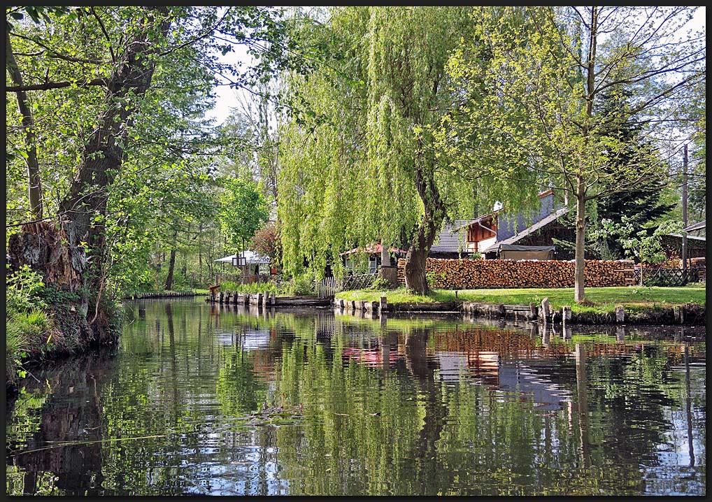 Spreewald VI