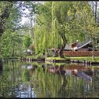 Spreewald VI