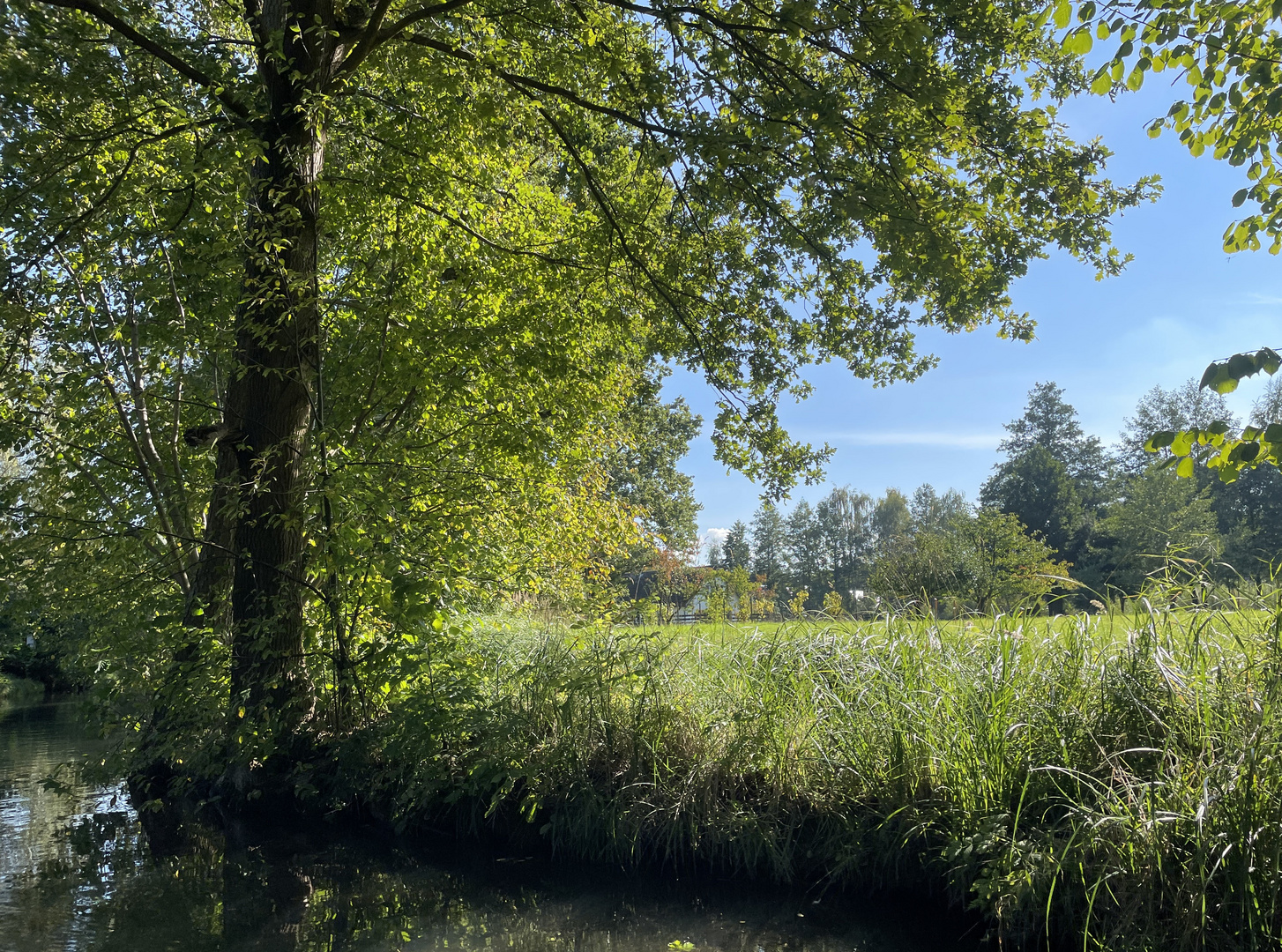 Spreewald zum Herbstbeginn