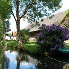 Spreewald01