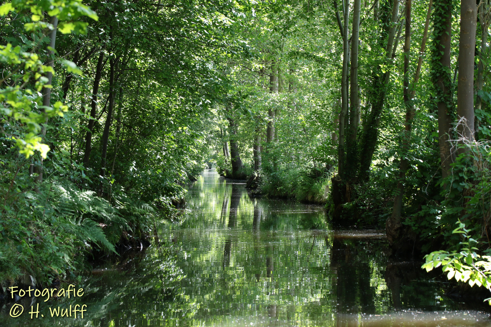 Spreewald02