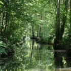 Spreewald02