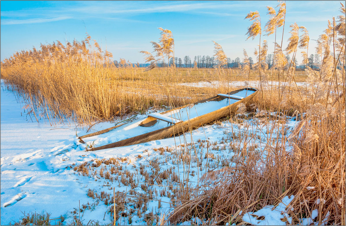 Spreewaldkahn im Winter