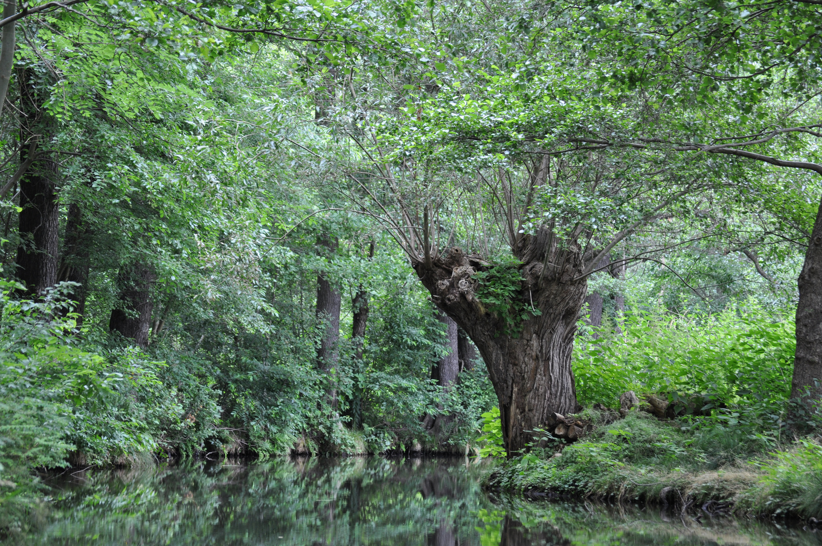 Spreewaldkanal