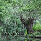 Spreewaldkanal