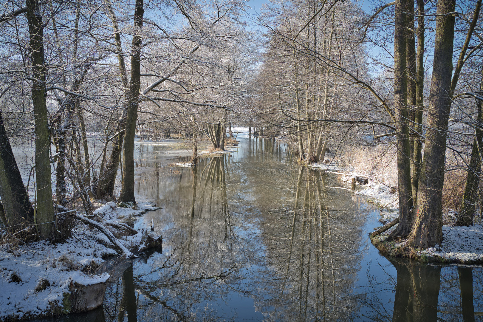 Spreewaldlandschaft im Januar 