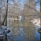 Spreewaldlandschaft im Januar 