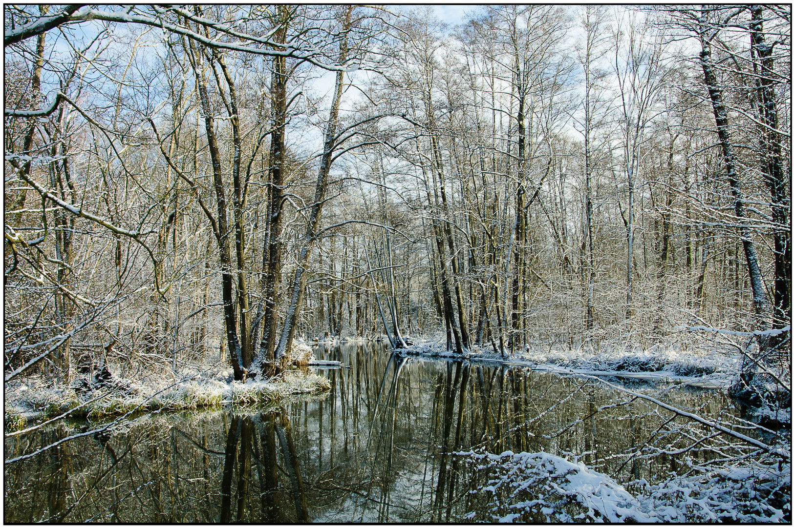 Spreewaldlandschaft im Winter 