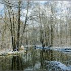 Spreewaldlandschaft im Winter 