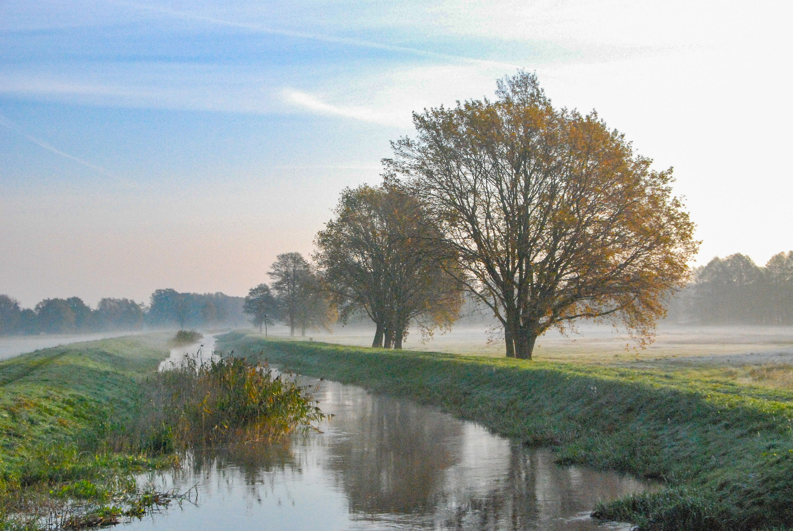 Spreewaldnebel