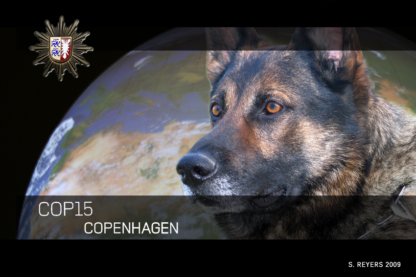 Sprengstoffspürhund Ibo beim Weltklimagipfel Kopenhagen 2009