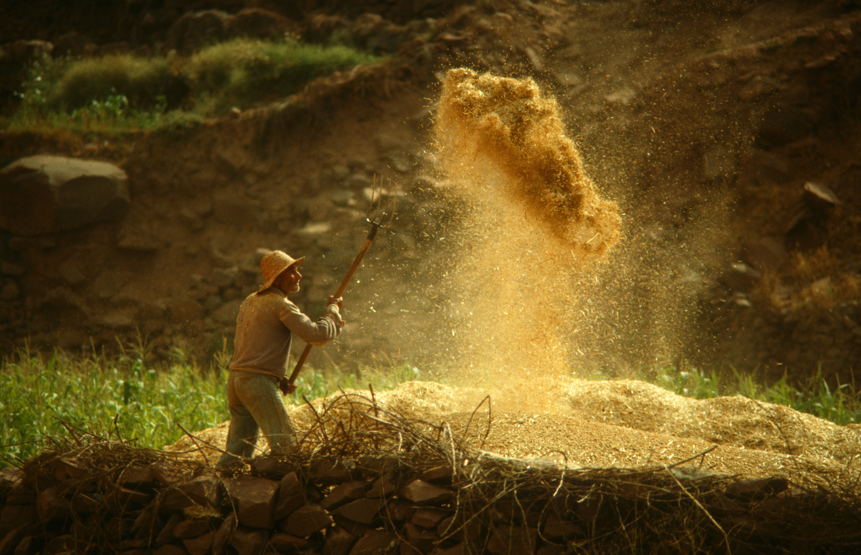 Spreue vom Weizen trennen - Marokko