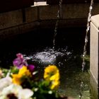 Sprinbrunnen in Greiz