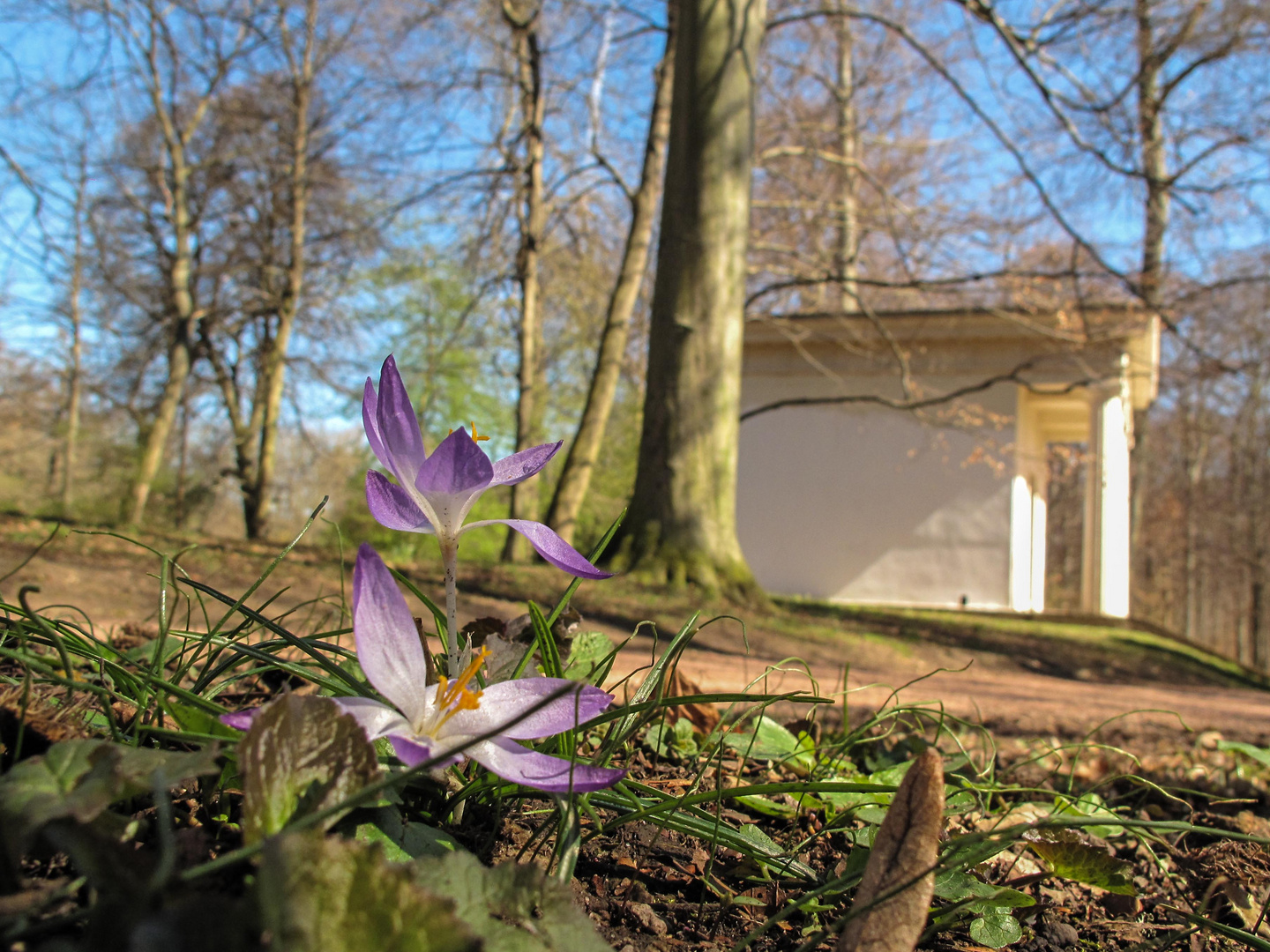 Spring 2017 FlowerTemple