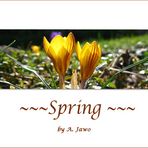 ** Spring **