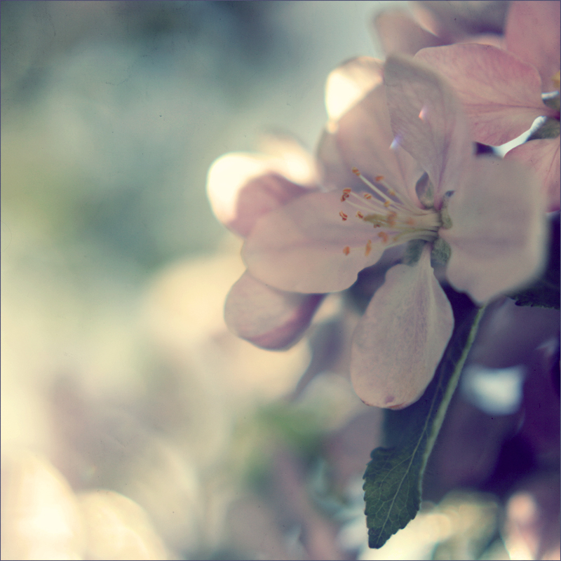 spring .3