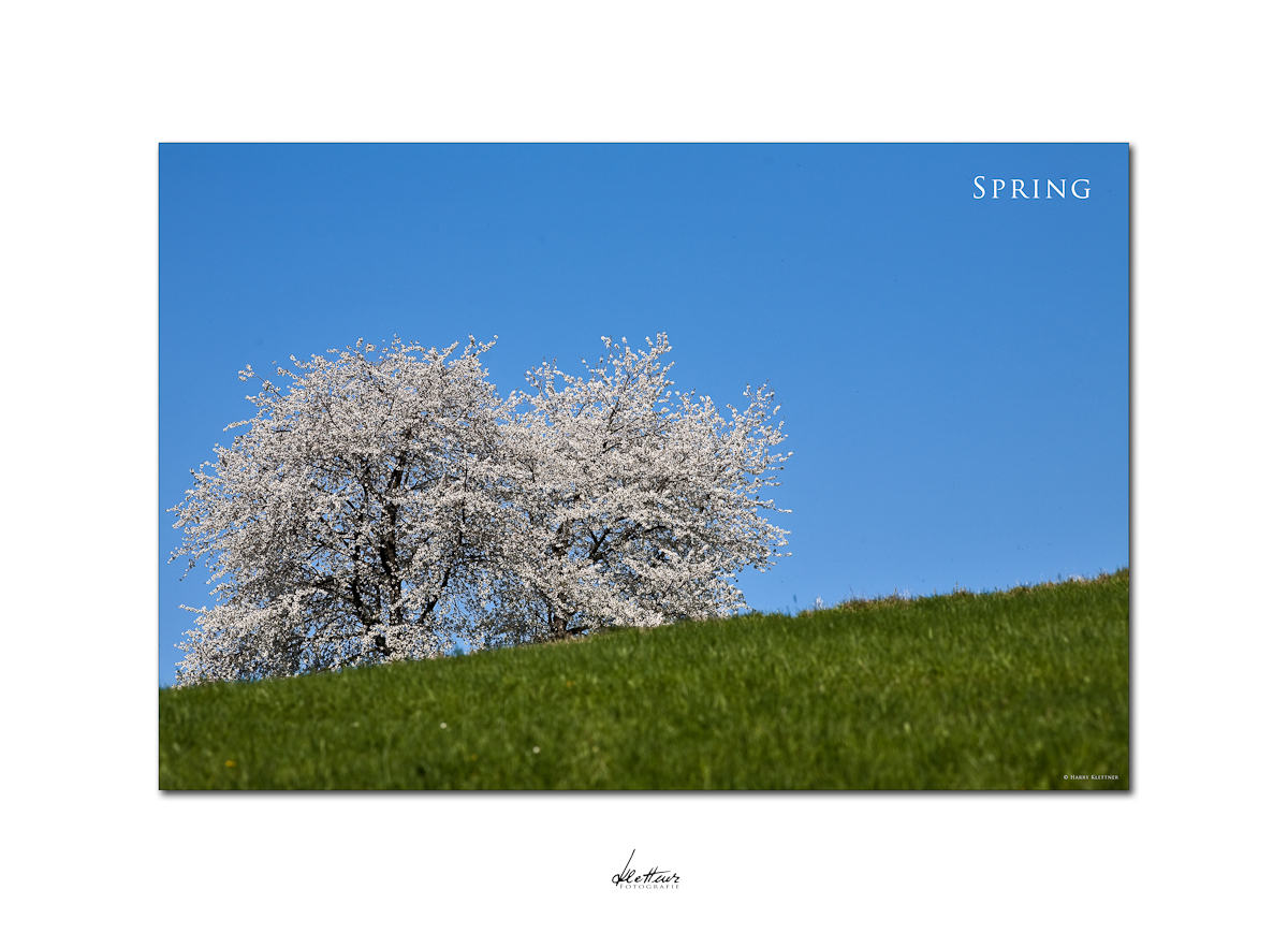 Spring