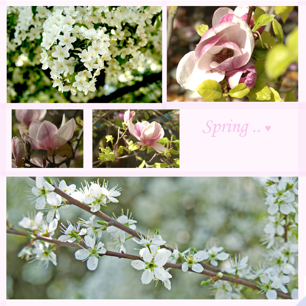 Spring.. &#9829;