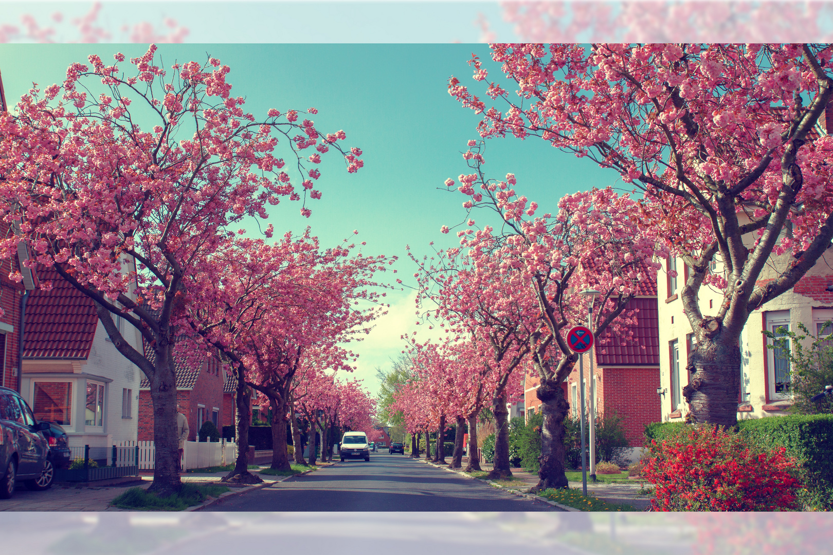 spring alley