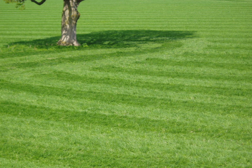 spring and stripes ...