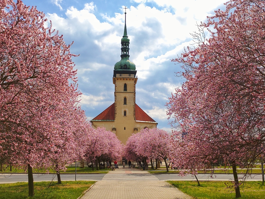 Spring at the church