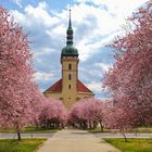 Spring at the church