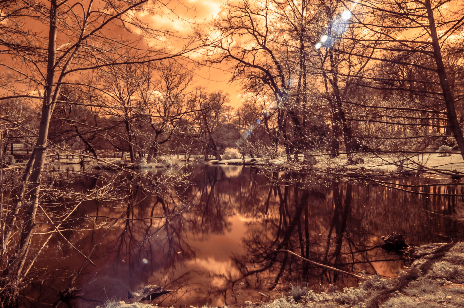 Spring at the lake