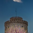 Spring at Thessaloniki