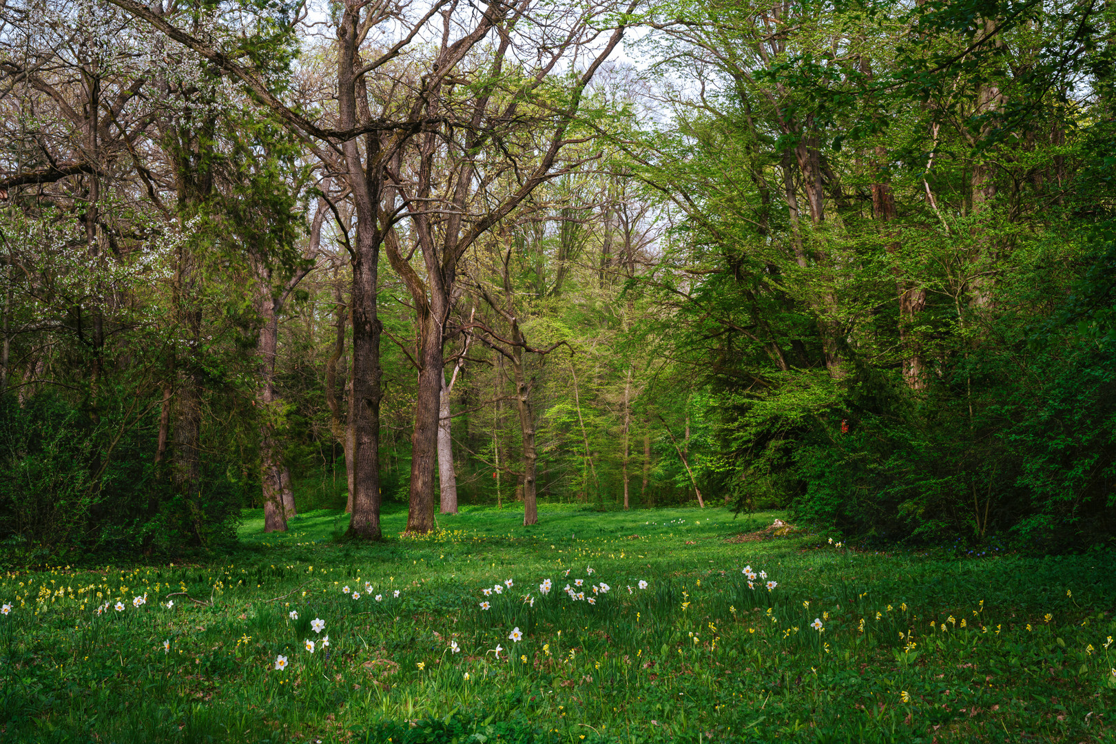 Spring at Vacratot Botanic Garden