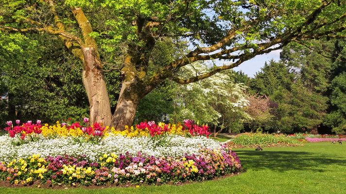 Spring at VanDusen Gardens