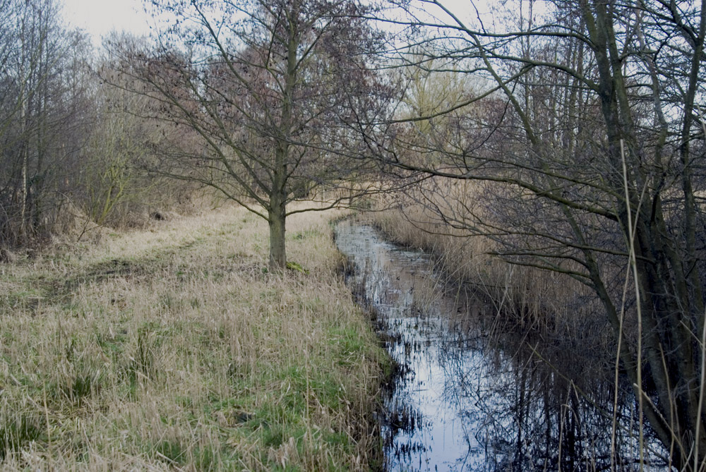 Spring beck