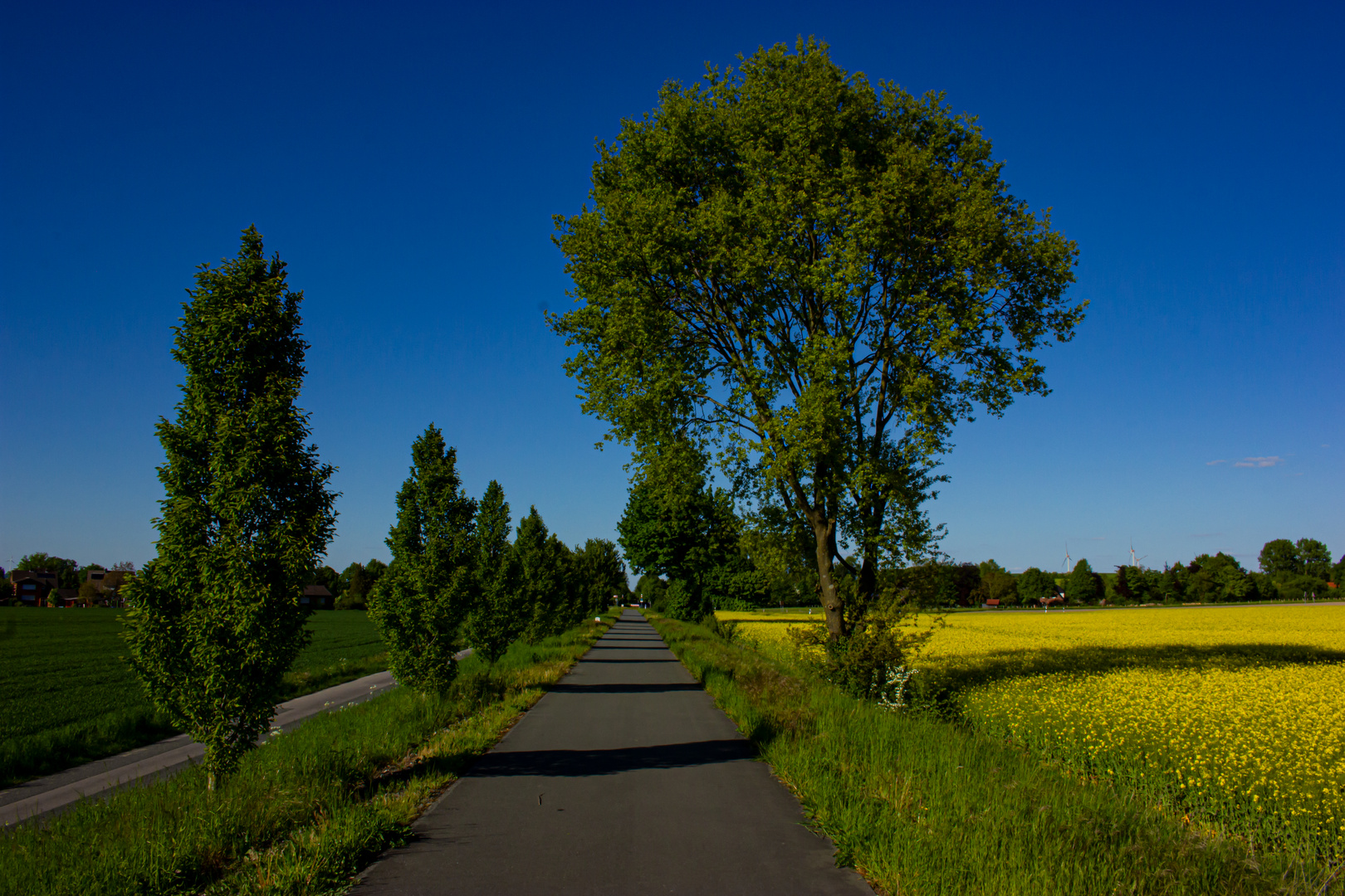 Spring, Bicycle path