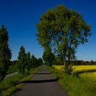 Spring, Bicycle path