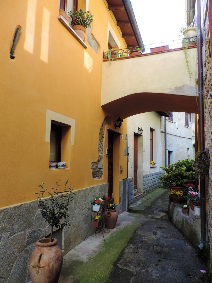 Spring breeze in the village streets