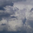 Spring clouds, as a tree looks on