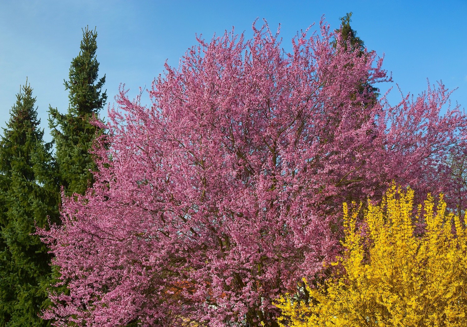 Spring colors