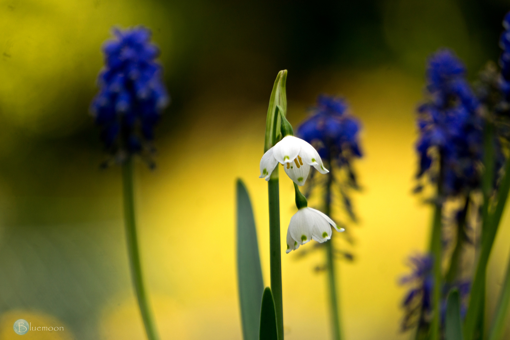 spring colours