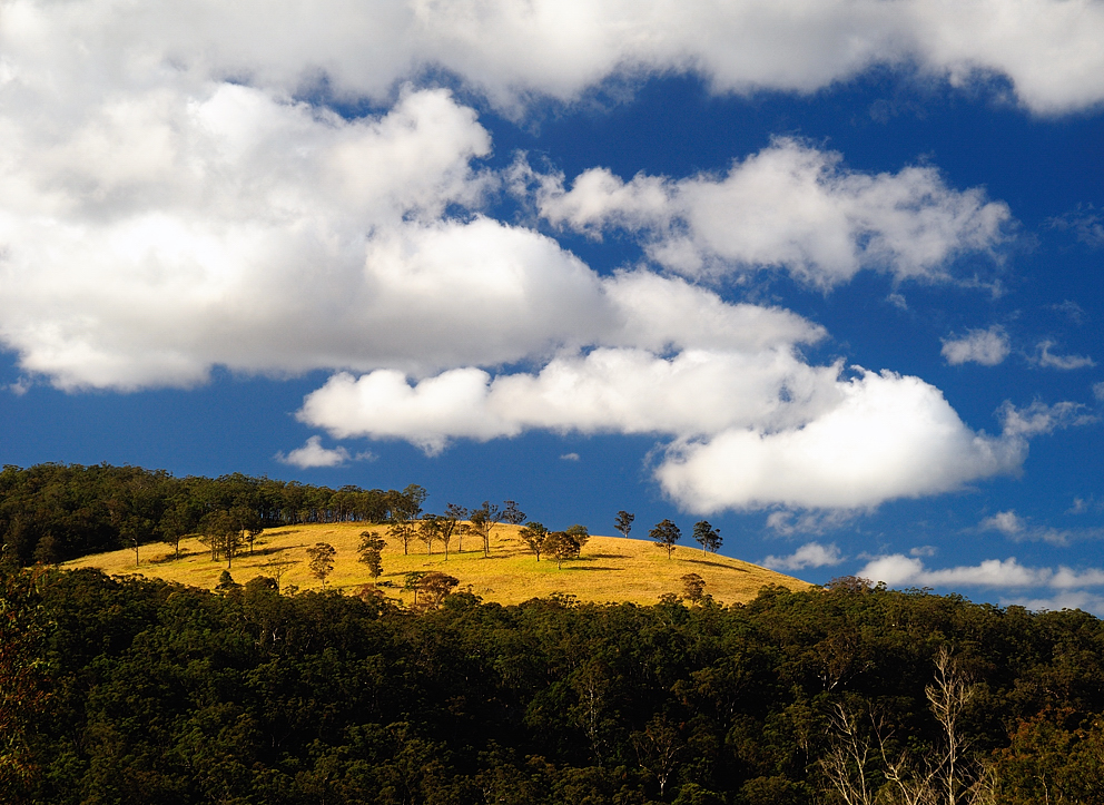 Spring Creek Rd