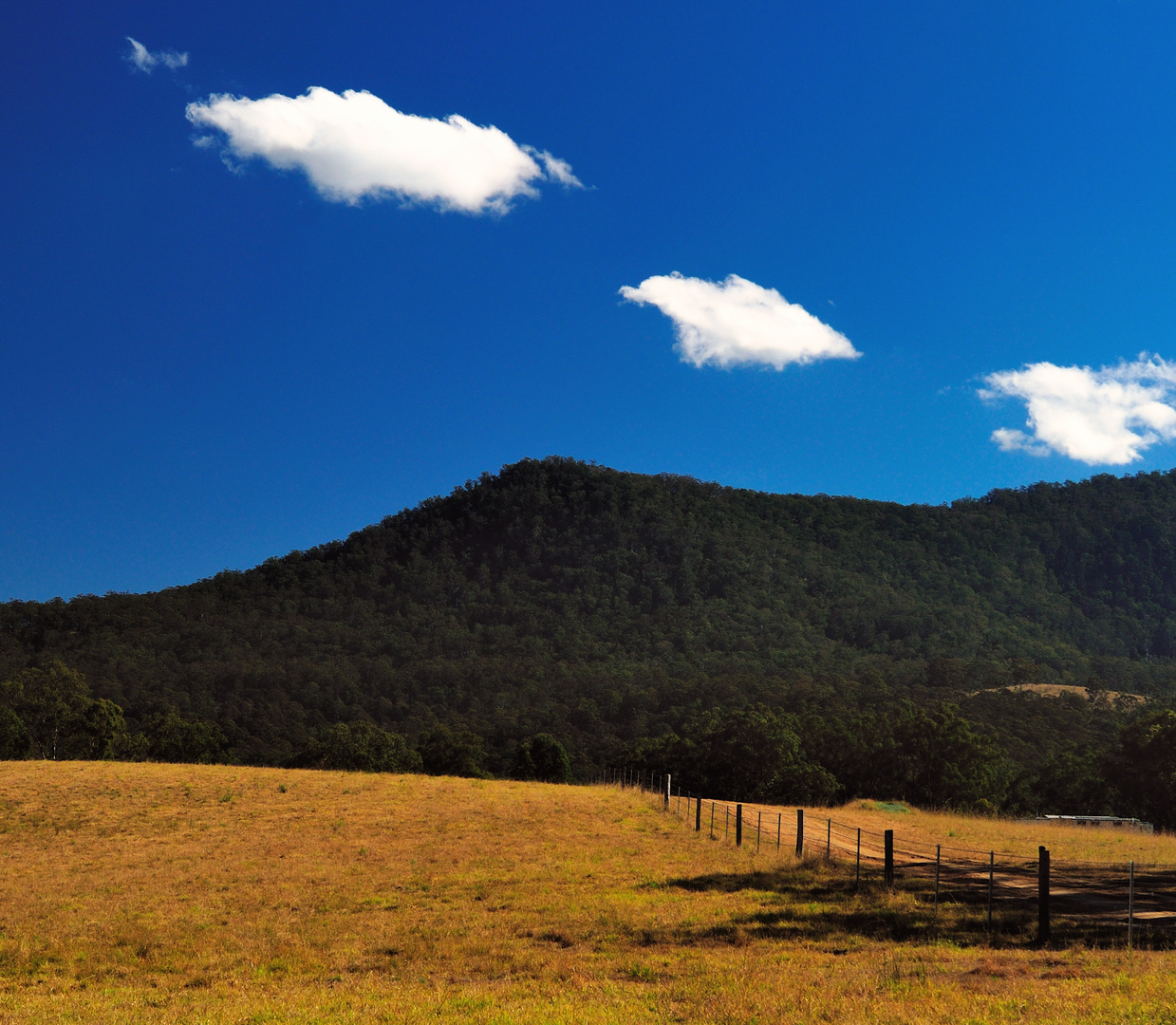 Spring Creek Rd